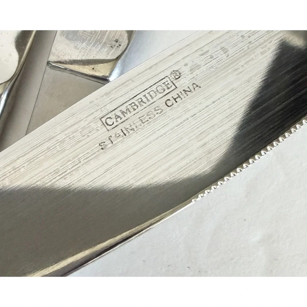 Set of 6 Cambridge Codie Sand Frost Stainless Butter Dinner Knifes Flatware  8